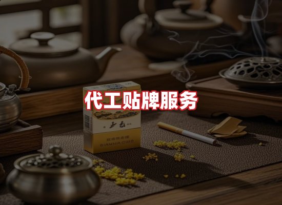 专业团队